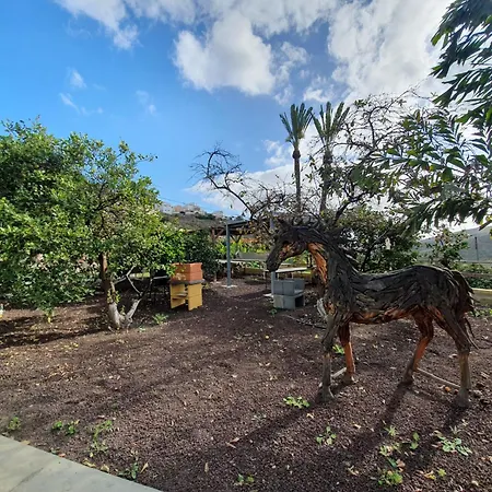 ヴィラ Oasis Holidays & Health - Charming