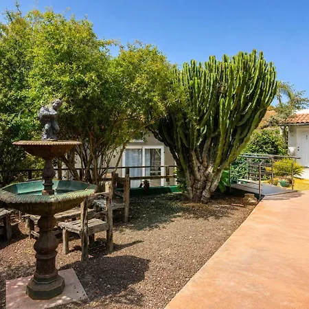 Villa Oasis Holidays & Health - Charming